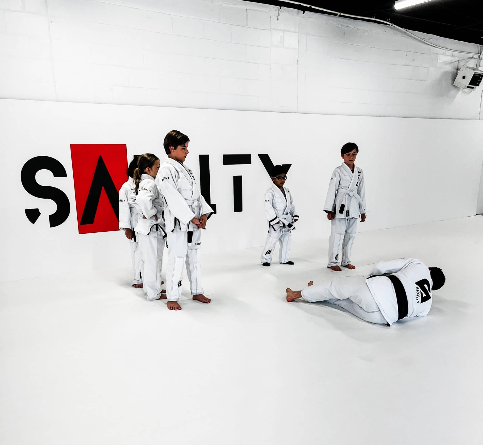Sanity Jiu Jitsu Gallery Photo Number 18