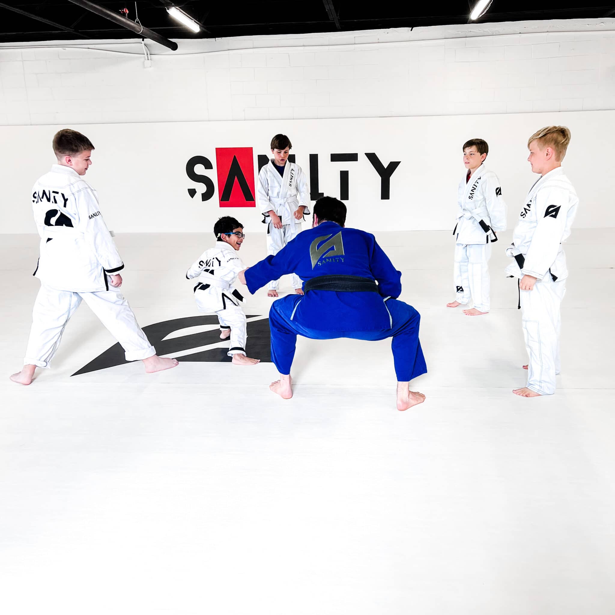 Sanity Jiu Jitsu Gallery Photo Number 2
